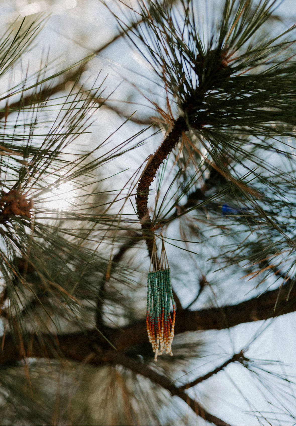 Gold Fans in Turquoise