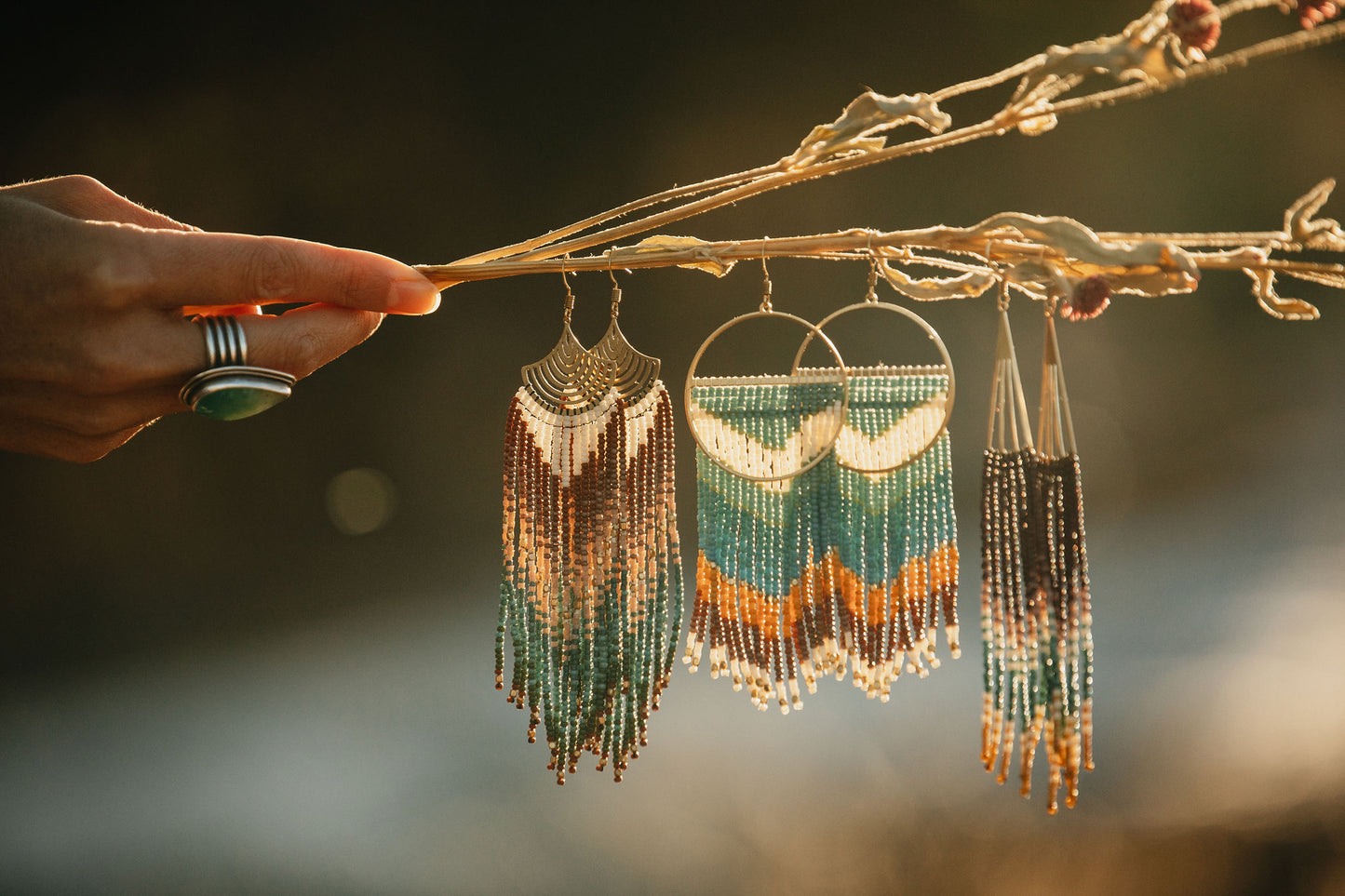Bohemian Wings