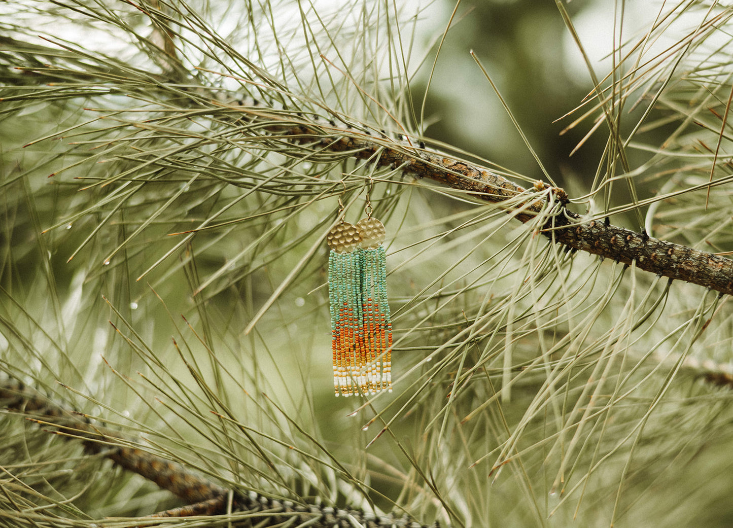 Gold Coins in Turquoise & Coral